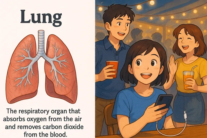 What is a Lung? - Easy to Understand What is a Lung? - Easy to Understand