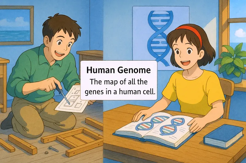 What is the Human Genome? - Easy to Understand What is the Human Genome? - Easy to Understand