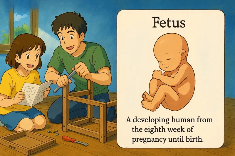 What is a Fetus? - Easy to Understand What is a Fetus? - Easy to Understand