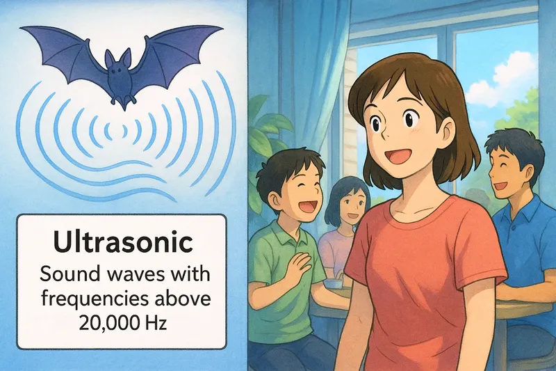 What is Ultrasonic? - Easy to Understand What is Ultrasonic? - Easy to Understand