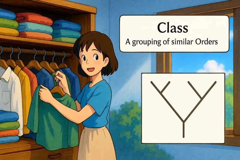 What is a Class? - Easy to Understand What is a Class? - Easy to Understand