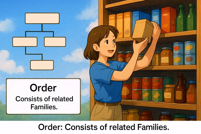 What is an Order? - Easy to Understand