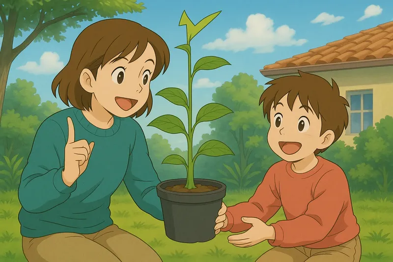 What is Primary Growth? - Easy to Understand