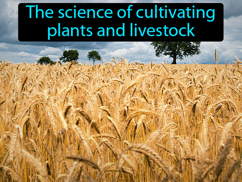 Agriculture Definition Agriculture Definition