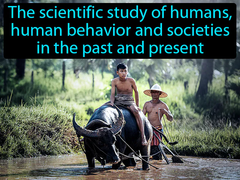 Anthropology Definition Anthropology Definition