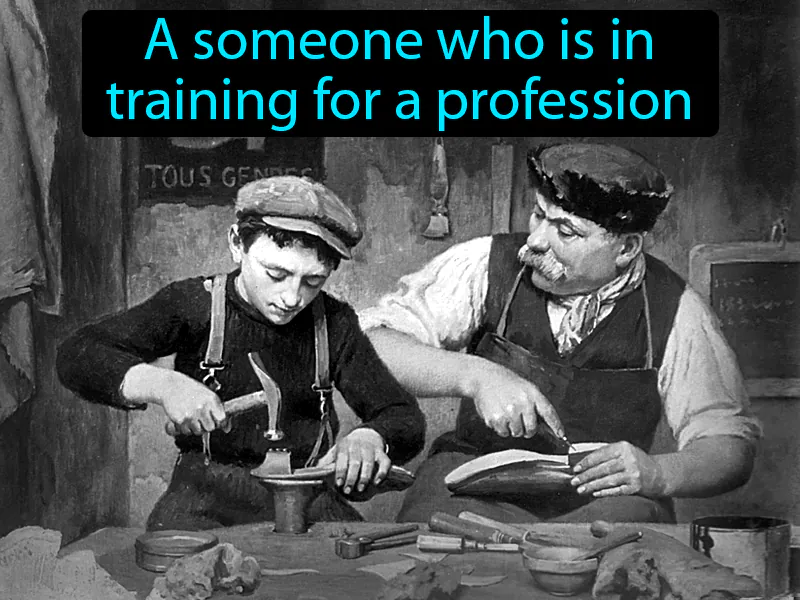 Apprentice Definition Apprentice Definition