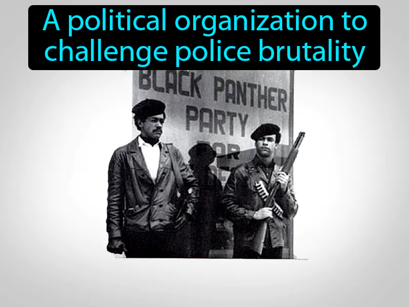 Black Panthers Definition Black Panthers Definition