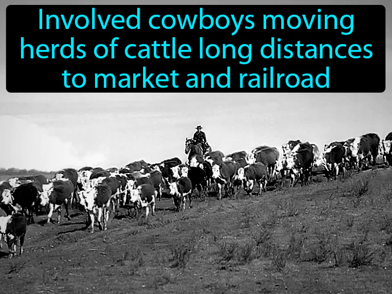 Cattle Drive Definition Cattle Drive Definition
