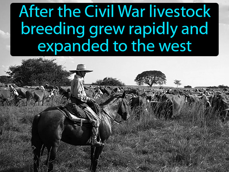 Cattle Kingdom Definition Cattle Kingdom Definition