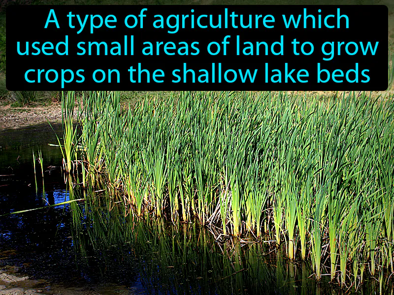 Chinampas Definition Chinampas Definition