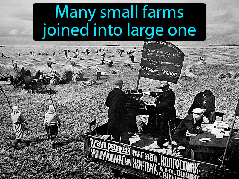 Collective Farm Definition
