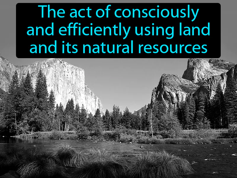Conservation Definition Conservation Definition