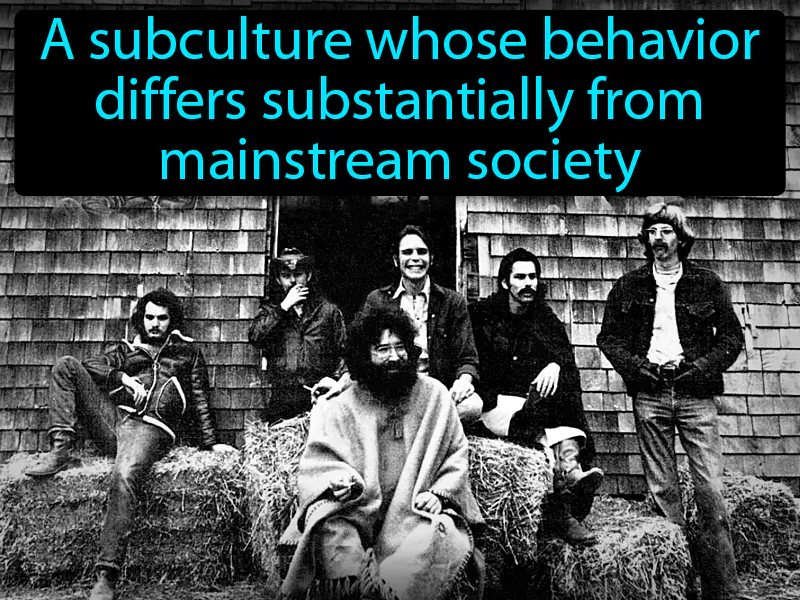Counterculture Definition