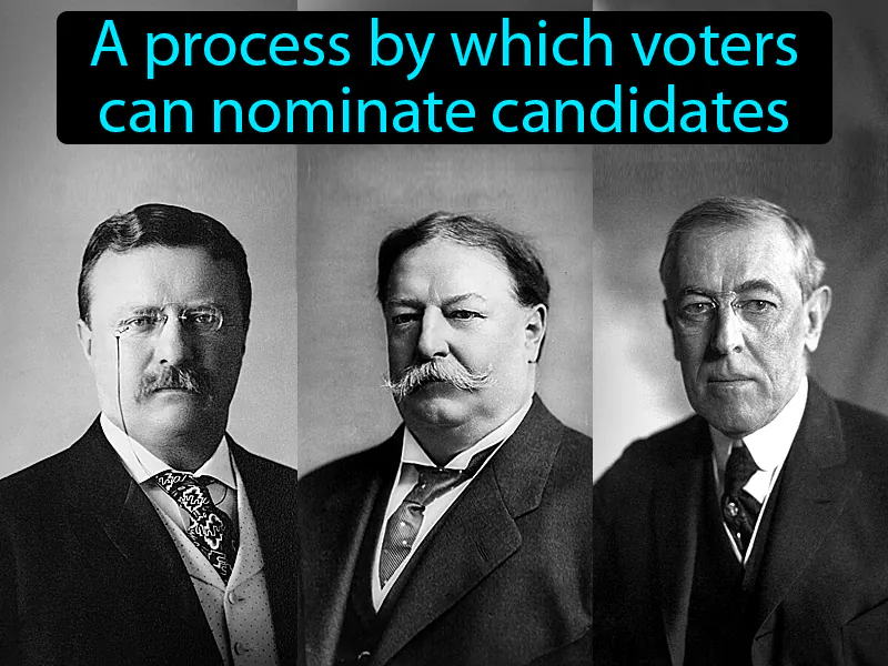 Direct Primary Definition Direct Primary Definition