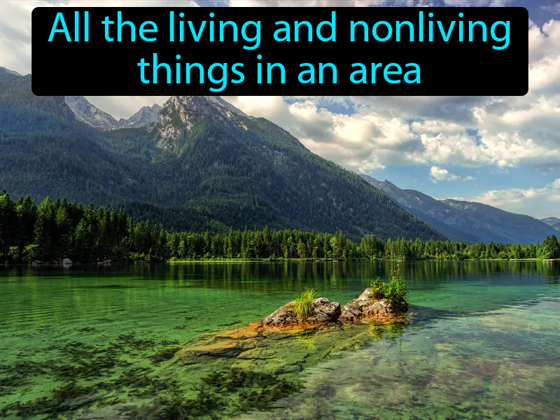 Environment Definition Environment Definition