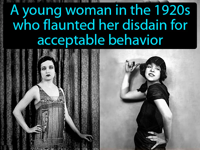 Flapper Definition Flapper Definition
