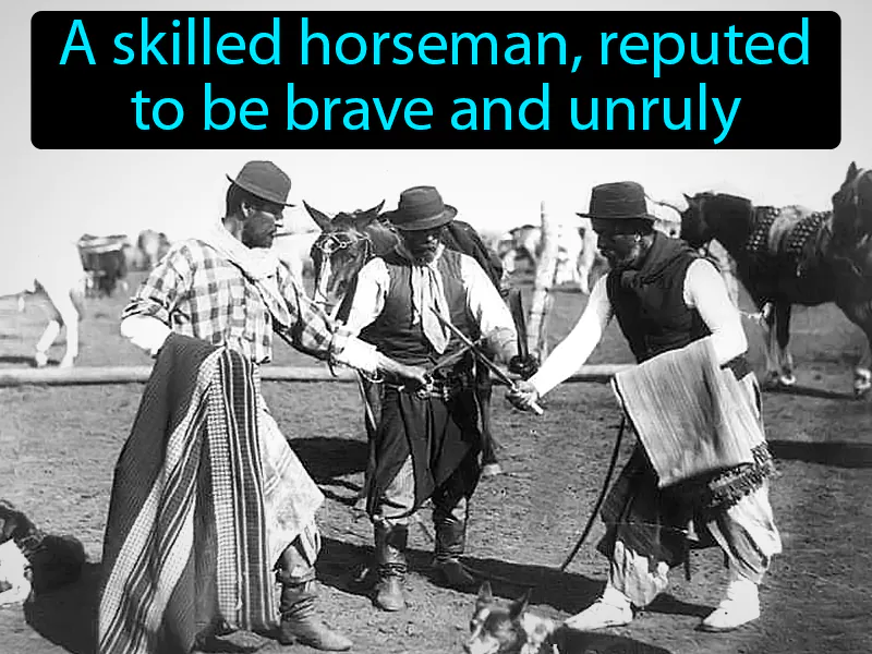 Gaucho Definition Gaucho Definition