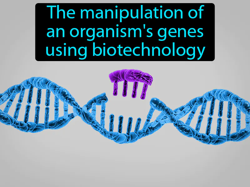 Genetic Engineering Definition Genetic Engineering Definition