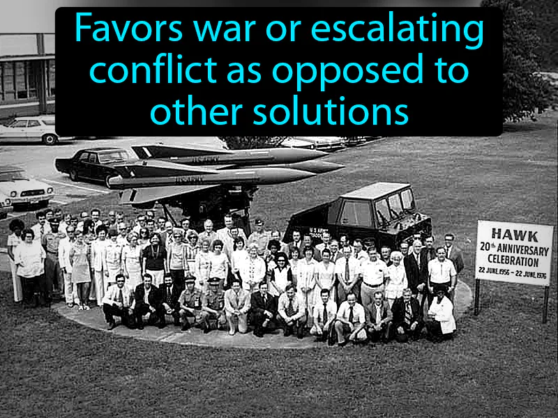 Hawk Definition Hawk Definition