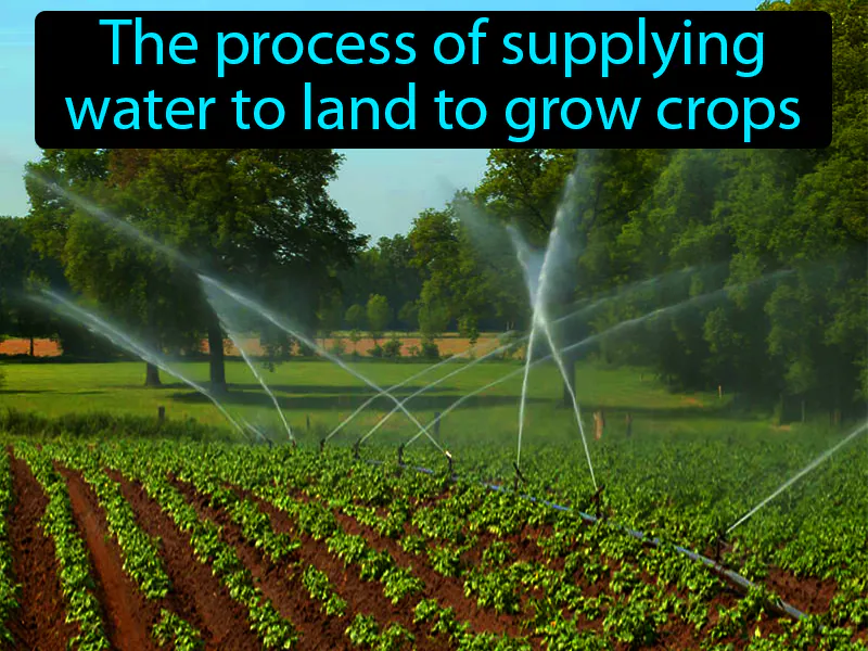 Irrigation Definition
