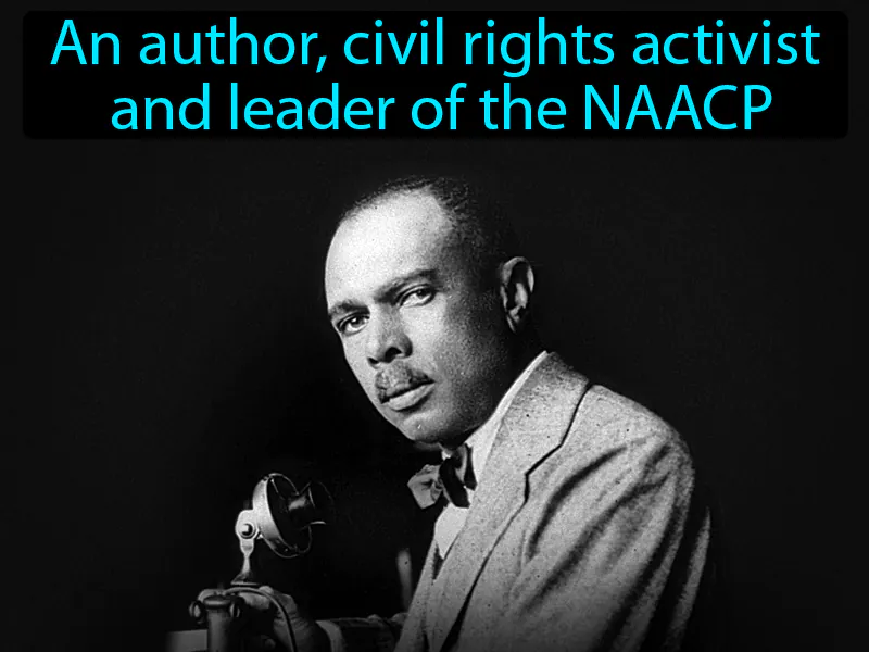 James Weldon Johnson Definition James Weldon Johnson Definition