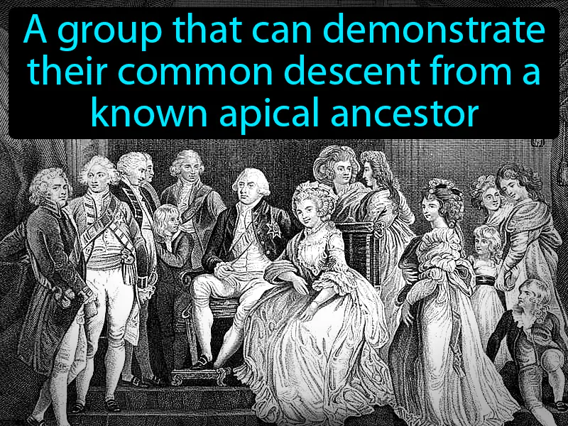 Lineage Definition Lineage Definition