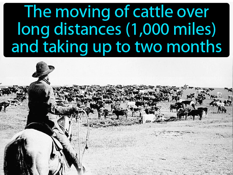 Long Drive Definition Long Drive Definition