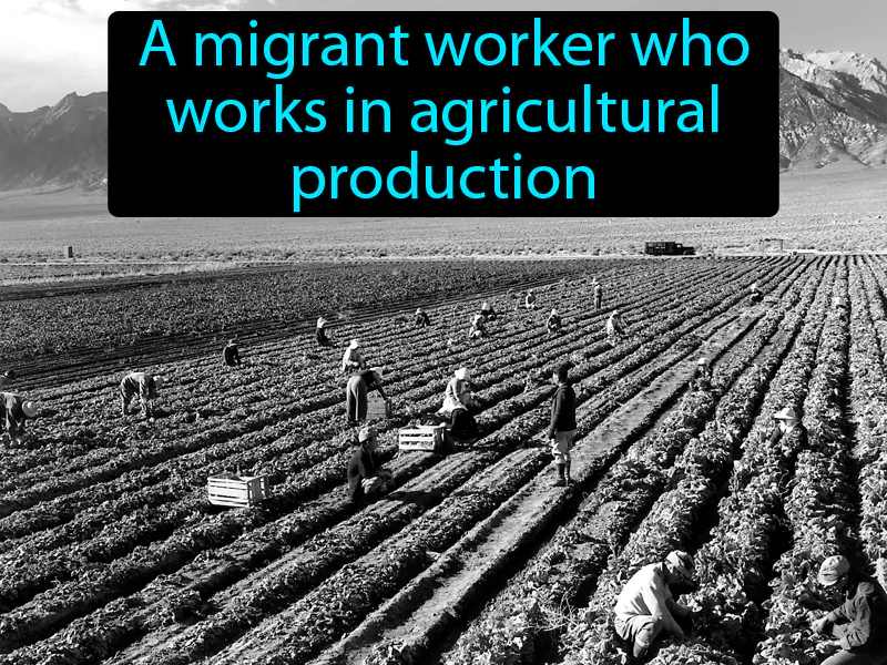 Migrant Farmworker Definition Migrant Farmworker Definition