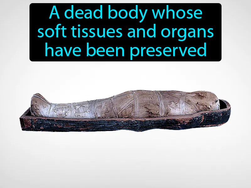 Mummy Definition Mummy Definition