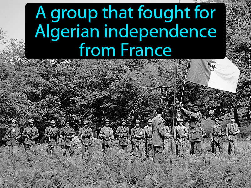 National Liberation Front Definition National Liberation Front Definition