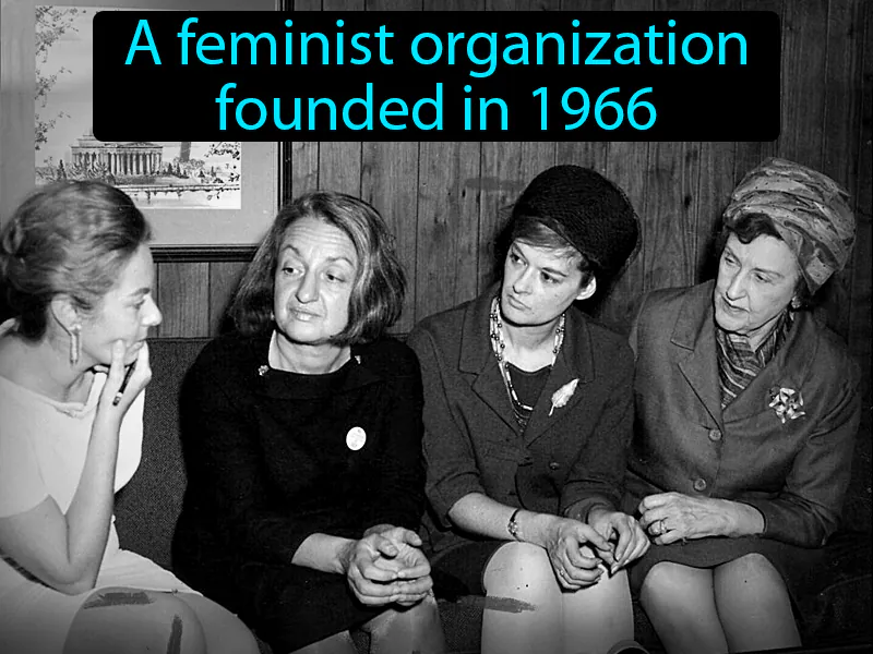 National Organization For Women Definition National Organization For Women Definition