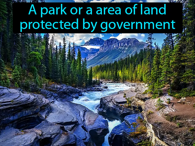 National Park Definition National Park Definition