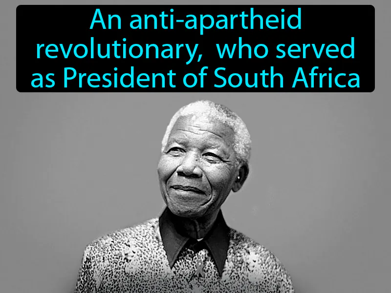 Nelson Mandela Definition Nelson Mandela Definition