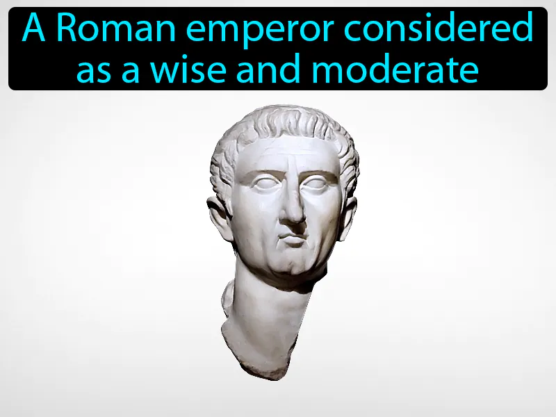 Nerva Definition Nerva Definition