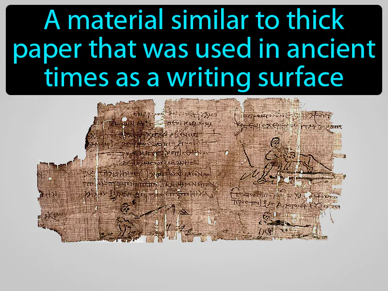 Papyrus Definition Papyrus Definition