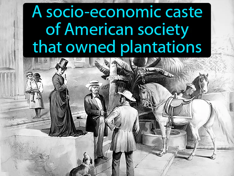 Planters Definition Planters Definition