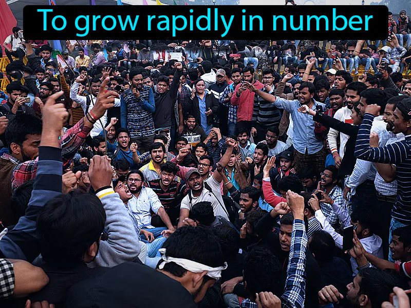 Proliferate Definition Proliferate Definition