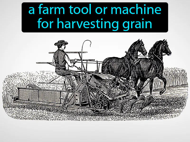 Reaper Definition Reaper Definition