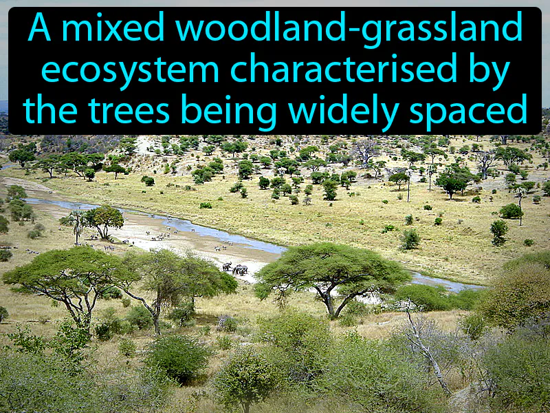 Savanna Definition Savanna Definition