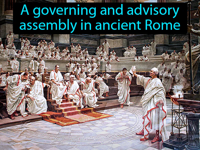 Senate Definition Senate Definition