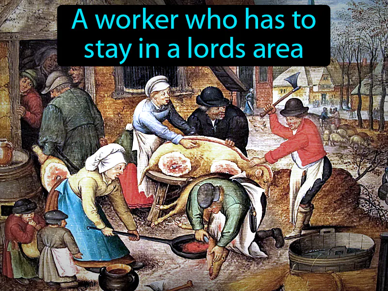 Serf Definition Serf Definition