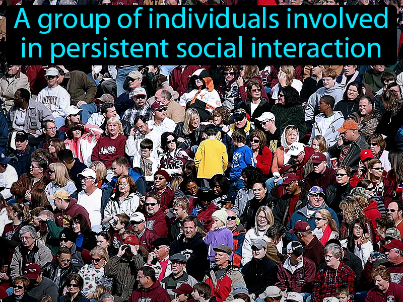 Society Definition Society Definition