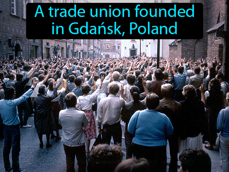 Solidarity Definition Solidarity Definition