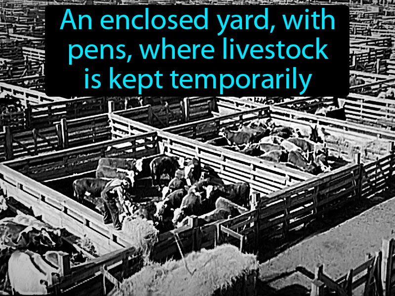 Stockyards Definition Stockyards Definition