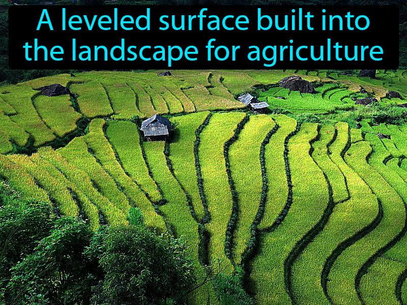 Terrace Definition Terrace Definition