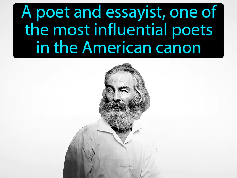 Walt Whitman Definition Walt Whitman Definition