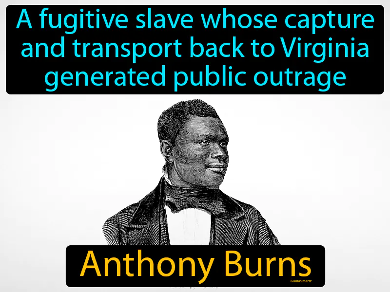 Anthony Burns Definition Anthony Burns Definition