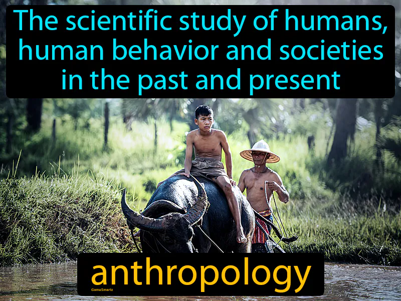 Anthropology Definition Anthropology Definition