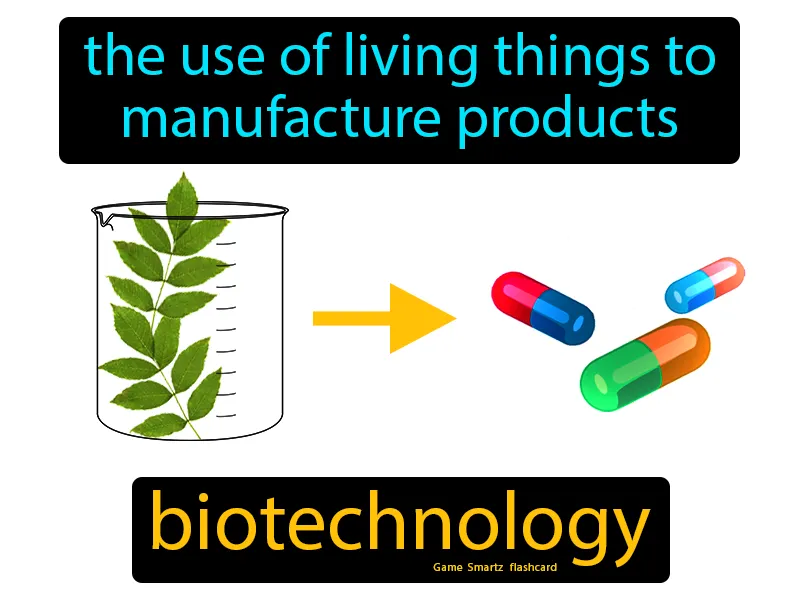 Biotechnology Definition Biotechnology Definition