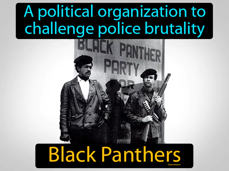 Black Panthers Definition Black Panthers Definition